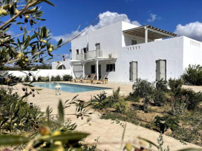 White Pearl Villa Naxos with Private Swimming Pool